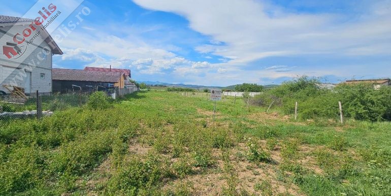 Corelis Imobiliare Alba Iulia, garsoniere, apartamente, case, spaţii comerciale, terenuri, vânzări, închirieri Corelis Imobiliare Alba Iulia, garsoniere, apartamente, case, spaţii comerciale, terenuri, vânzări, închirieri