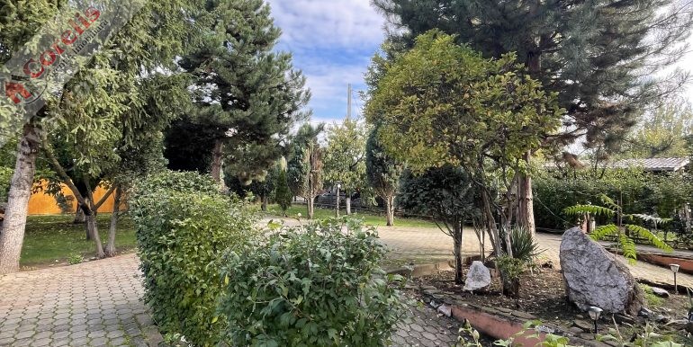 Corelis Imobiliare Alba Iulia, garsoniere, apartamente, case, spaţii comerciale, terenuri, vânzări, închirieri Corelis Imobiliare Alba Iulia, garsoniere, apartamente, case, spaţii comerciale, terenuri, vânzări, închirieri